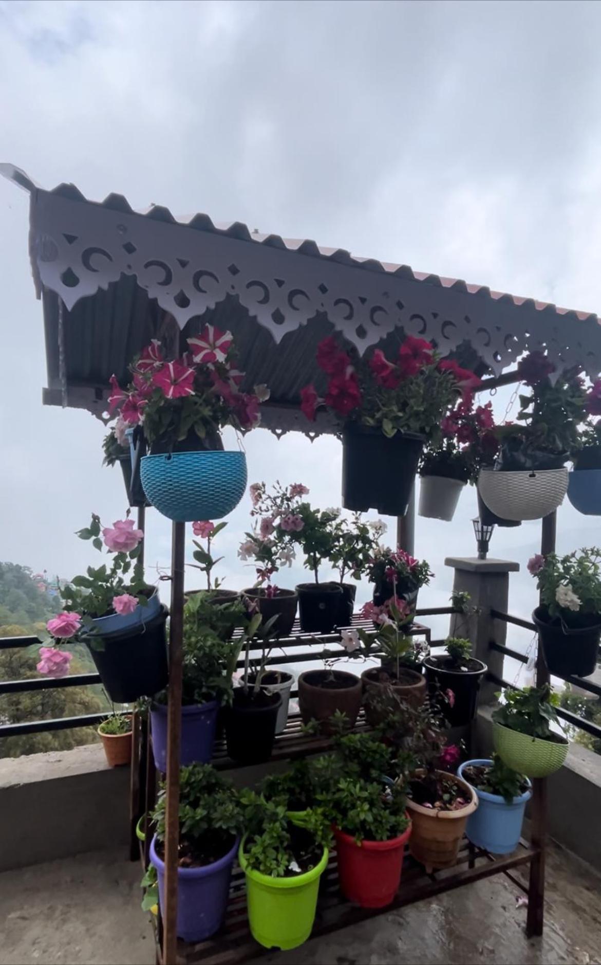 Shalom Inn Home Stay Νταρτζίλινγκ Εξωτερικό φωτογραφία